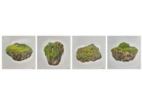 城堡藏品圖，第1張