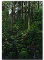 121°35'35.675E 25°9'8.391N藏品圖，第1張