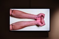 自我的邊界藏品圖，第1張