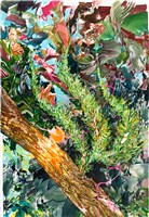 龍柏後藏品圖，第1張