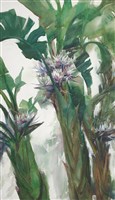 蕉情Ⅱ·白花天堂鳥的圖片