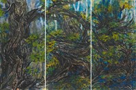 植物園池邊槿樹藏品圖，第1張