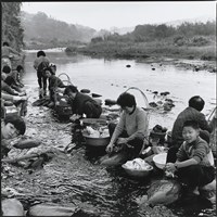 回不去了藏品圖，第1張