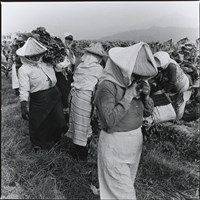 交工藏品圖，第1張