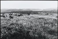 深秋藏品圖，第1張