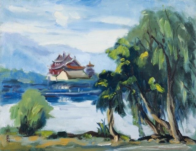 柳的圖片