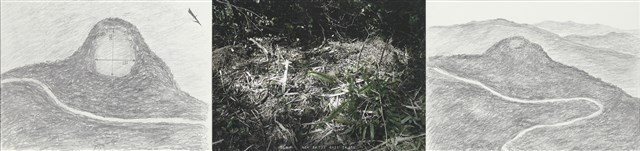 大豹:溫帶的邊界的圖片