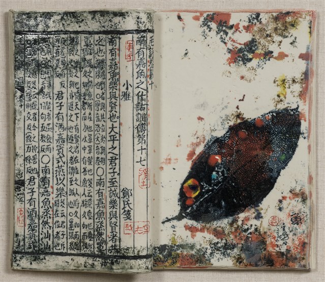 詩經說魚4的圖片