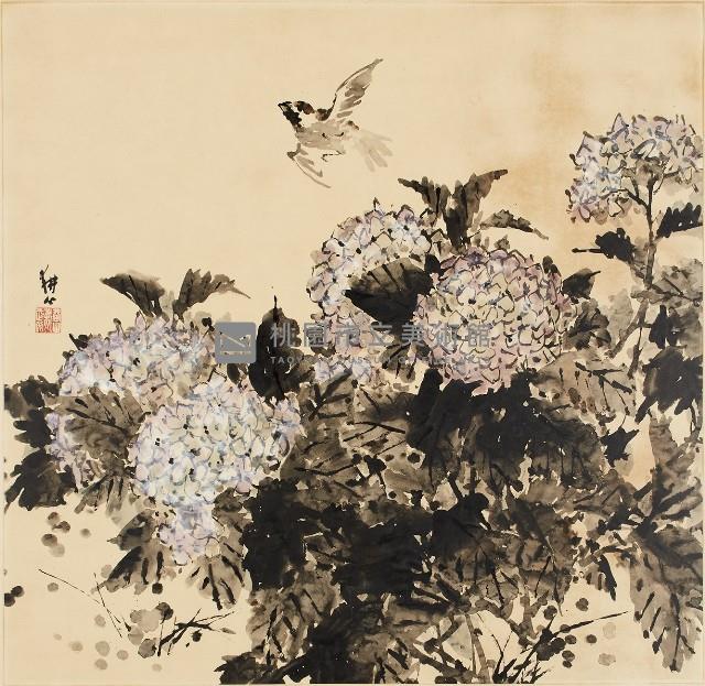 繡球花藏品圖，第1張