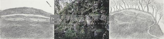 大豹:溫帶的邊界藏品圖，第37張