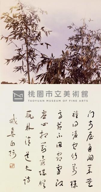 種竹藏品圖，第1張