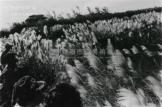 風起潮湧藏品圖，第1張