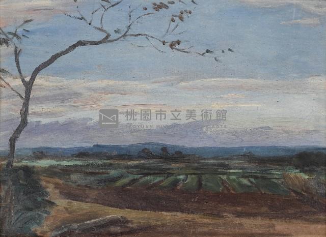 彩霞下的菜圃藏品圖，第1張