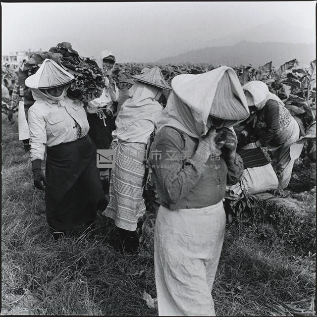 交工藏品圖，第1張