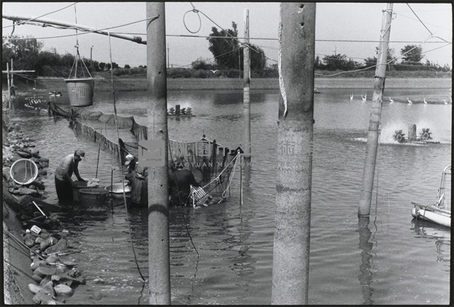 蚵-10號池藏品圖，第1張