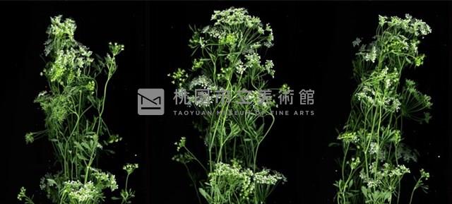 湧流2009藏品圖，第1張