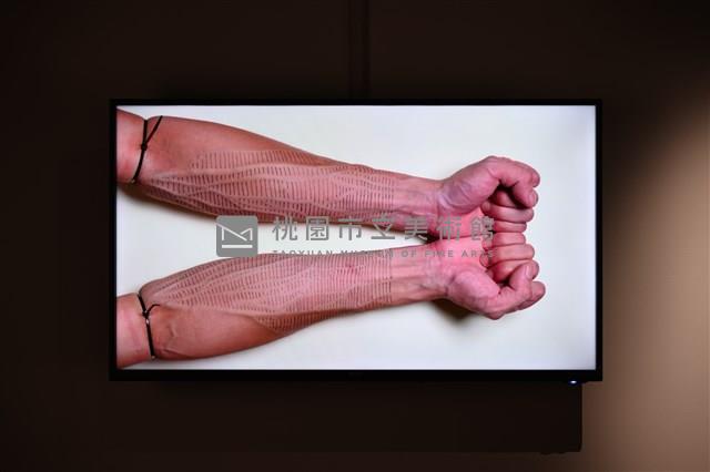 自我的邊界藏品圖，第1張