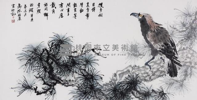 松鷹藏品圖，第1張