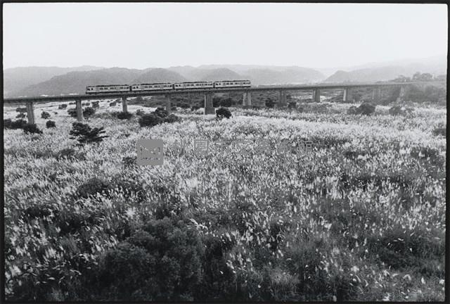 深秋藏品圖，第1張