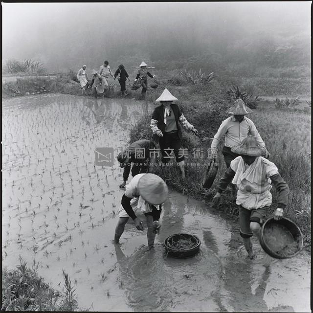 老農夫的手作藏品圖，第1張