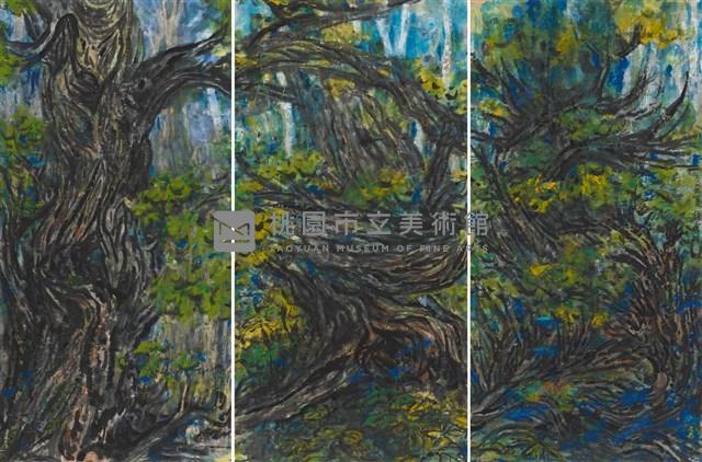 植物園池邊槿樹藏品圖，第1張