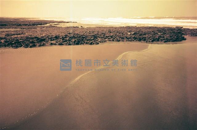 藻礁藏品圖，第1張