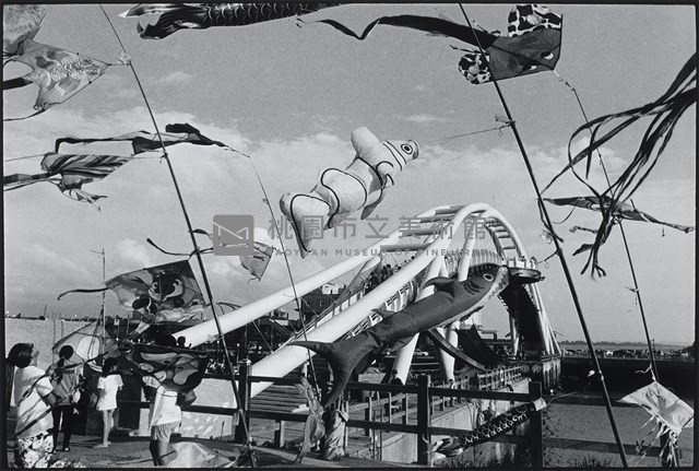 水族箱藏品圖，第1張