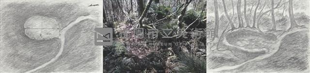 大豹:溫帶的邊界藏品圖，第40張