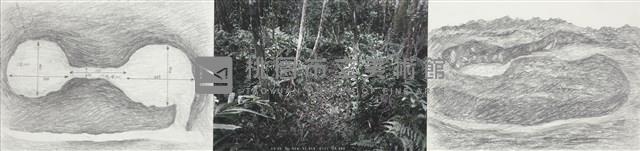 大豹:溫帶的邊界藏品圖，第20張