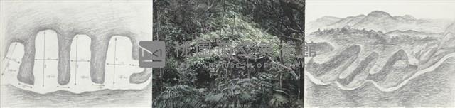 大豹:溫帶的邊界藏品圖，第6張