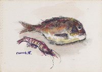 魚、蝦藏品圖，第1張