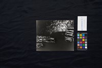 木筏（從臺北光復橋上往下俯拍）藏品圖，第2張