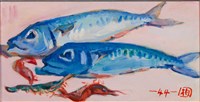 鐵甲魚的圖片
