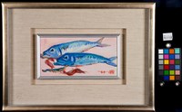 鐵甲魚藏品圖，第2張