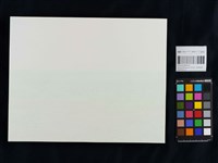 台灣土狗Taiwan TO GO--向李俊賢老師致敬(E2)藏品圖，第2張