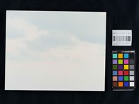台灣土狗Taiwan TO GO--向李俊賢老師致敬(F9)藏品圖，第2張