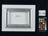 台灣土狗Taiwan TO GO--向李俊賢老師致敬(F9)藏品圖，第3張