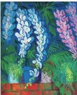 蝴蝶蘭藏品圖，第1張