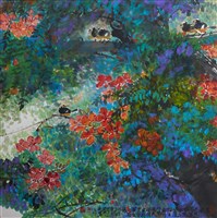 鳳凰花開的圖片