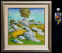 上樹藏品圖，第2張