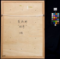 枯荷藏品圖，第4張