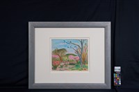 陽明山櫻花藏品圖，第2張