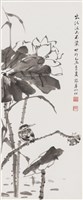 出淤泥而不染的圖片