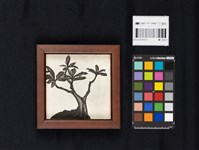 蔓衍至彼方藏品圖，第3張
