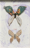 蔓衍至彼方藏品圖，第2張