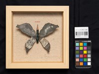 蔓衍至彼方藏品圖，第3張