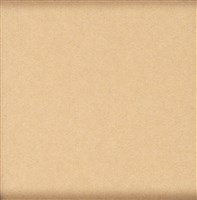 蔓衍至彼方藏品圖，第2張