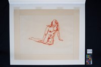 粉彩(一)藏品圖，第2張