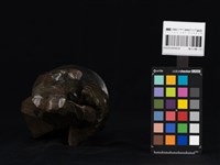 烽火大戰—仕1藏品圖，第6張