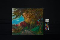 秋色小徑藏品圖，第2張